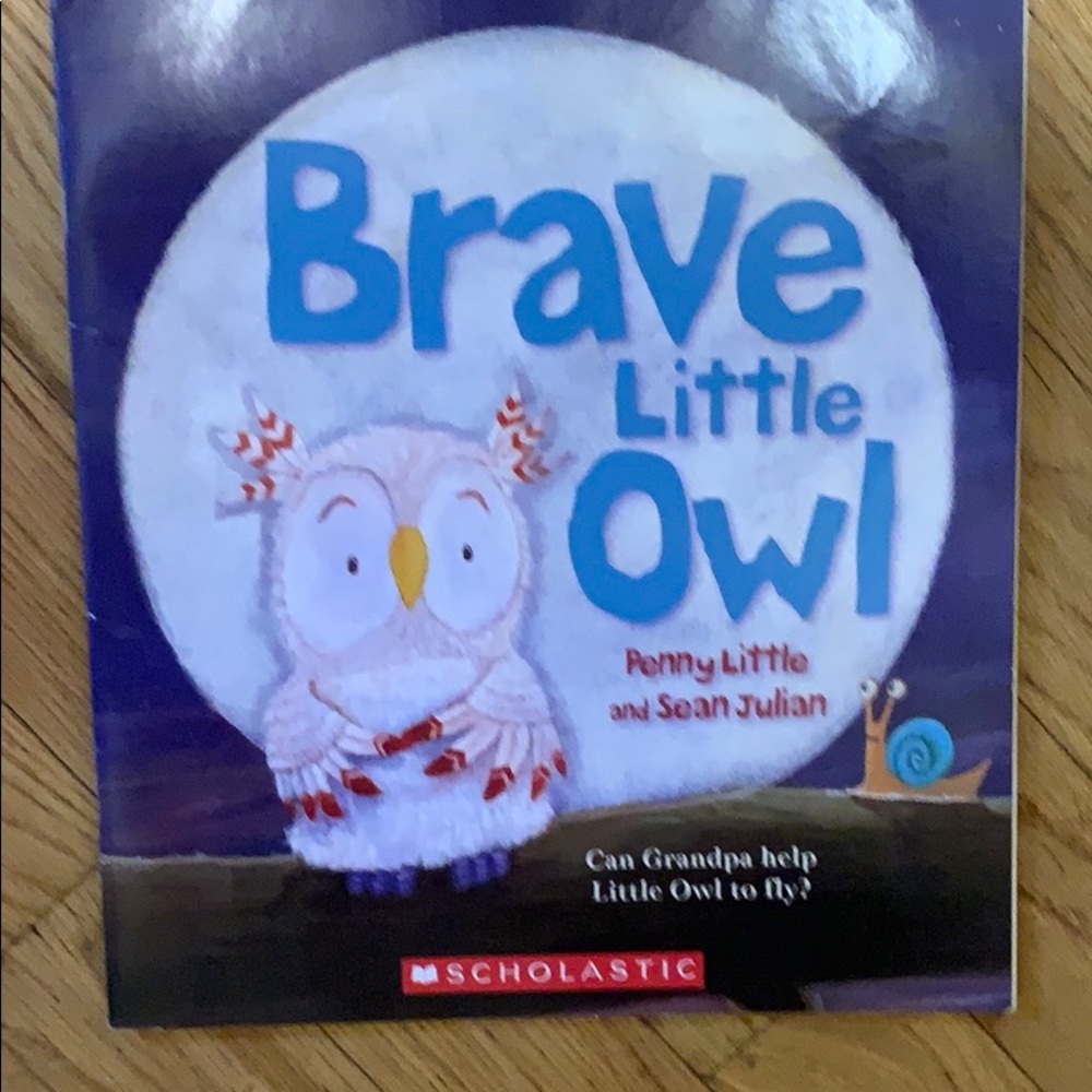 A book called brave little owl